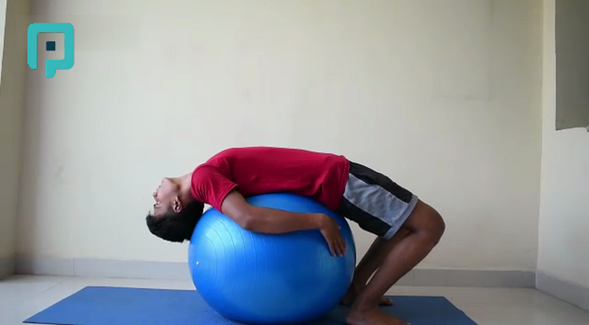 prone trunk extension stretch on swiss ball - beginner Trunk exercise