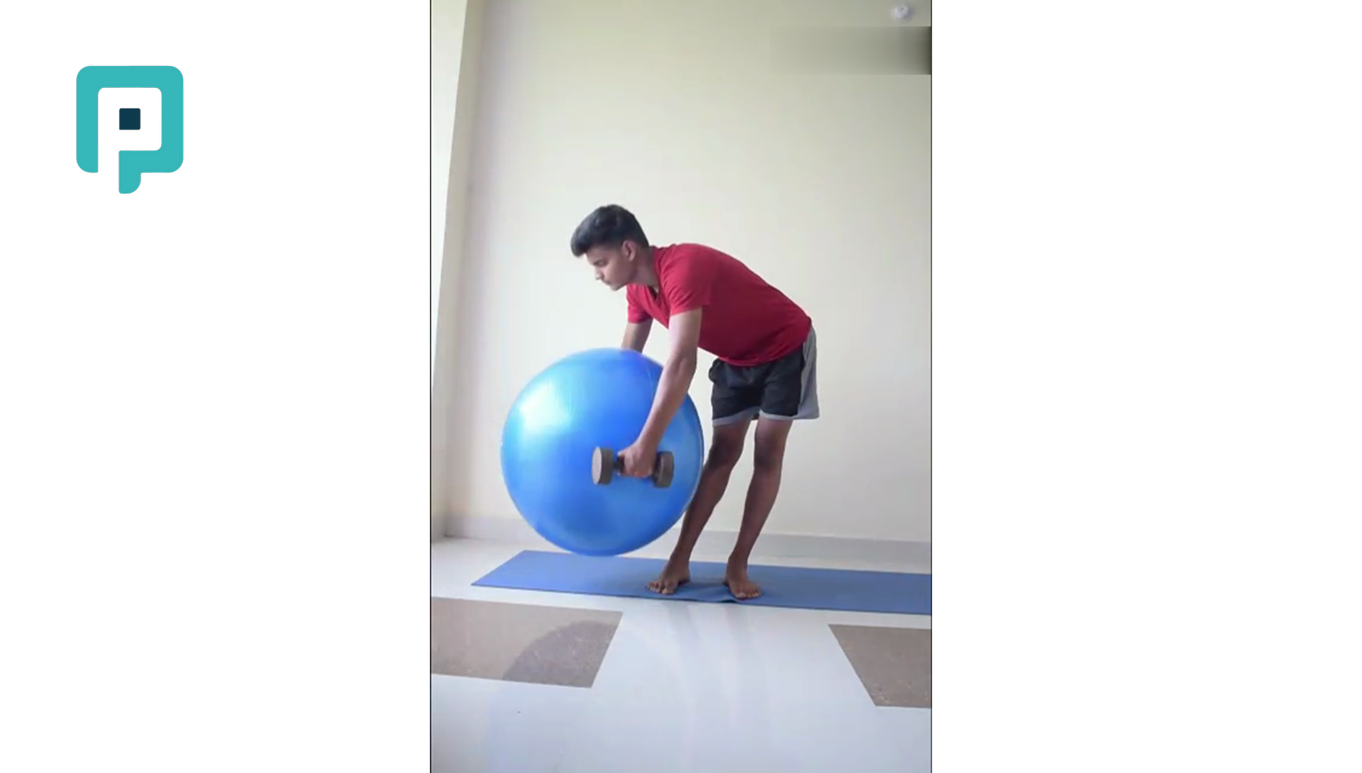 standing rotational forward lean with swiss ball and dumbbells - beginner Trunk exercise