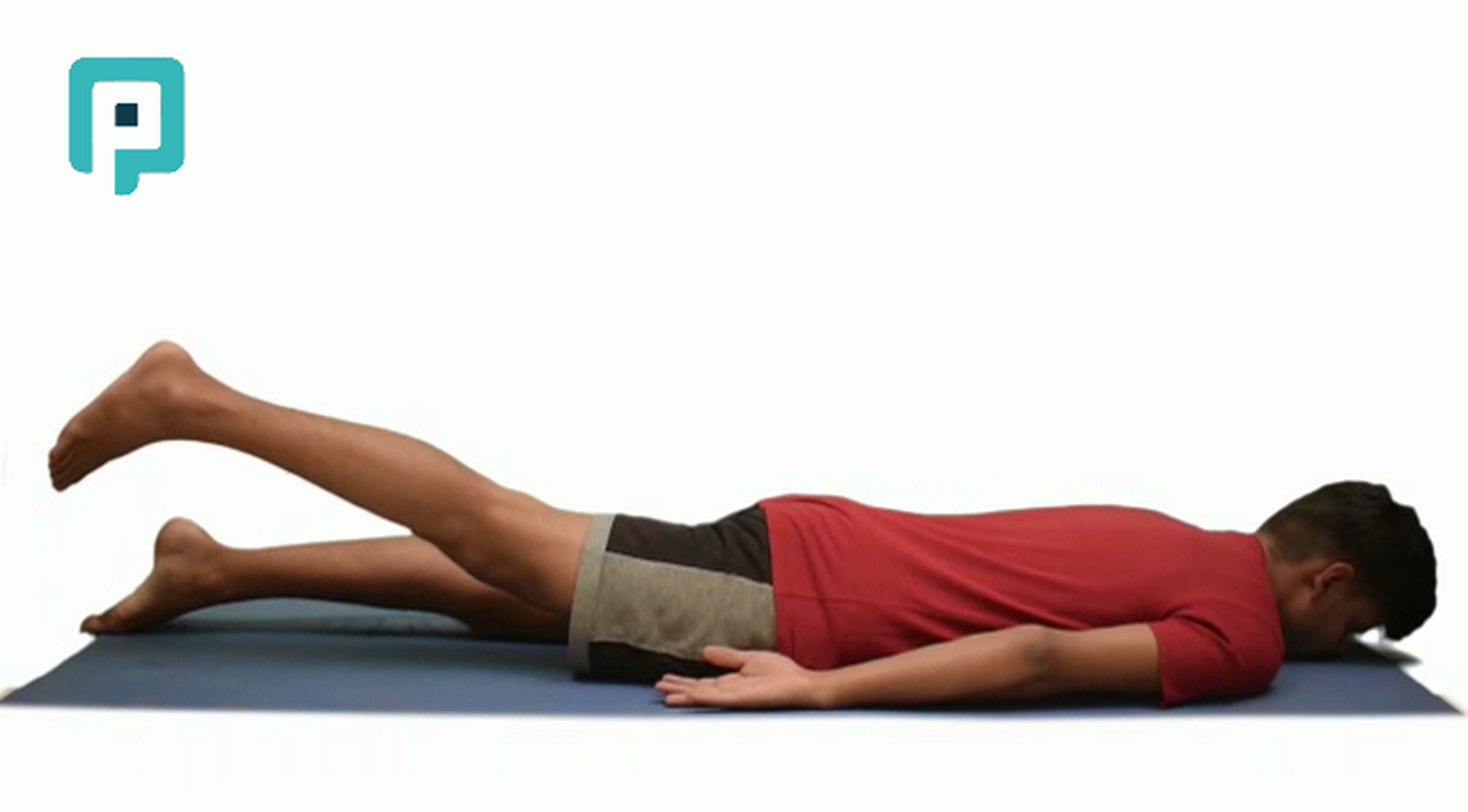 prone hip extension with knee extended - beginner Trunk exercise
