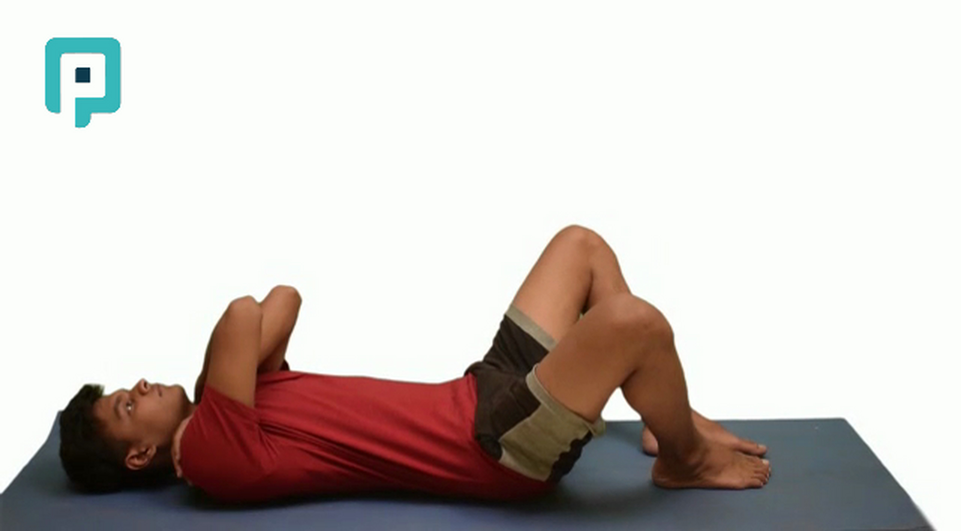 supine bilateral clamshell - beginner Trunk exercise