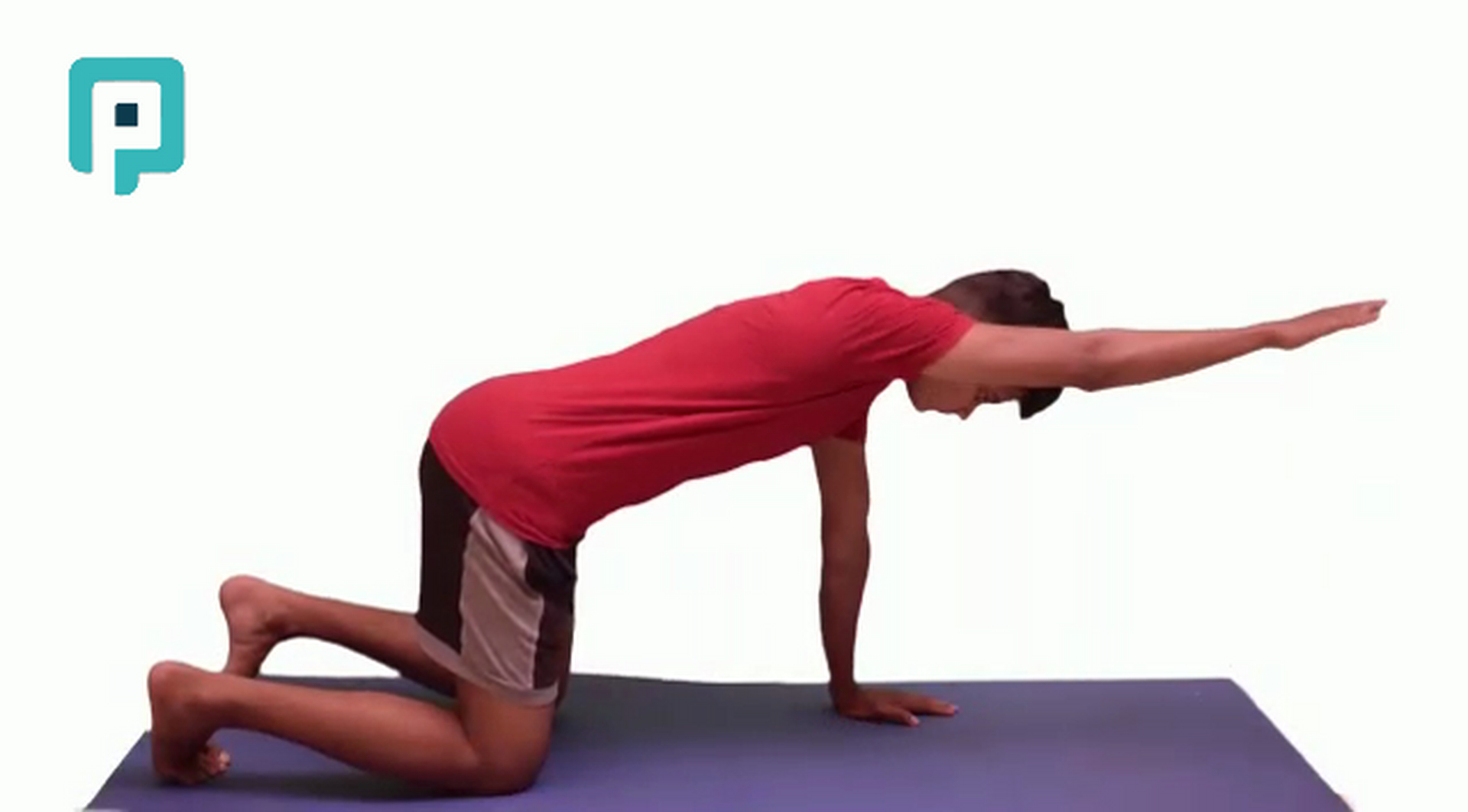 quadruped arm raise forward - beginner Trunk exercise