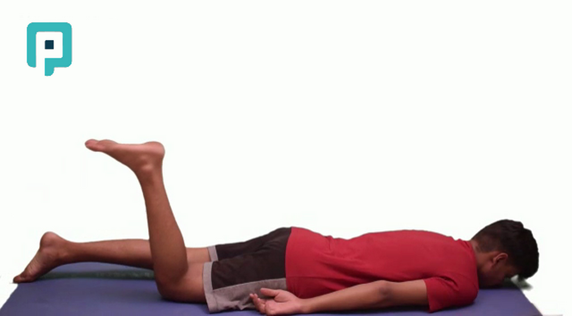 prone knee bending - beginner Trunk exercise