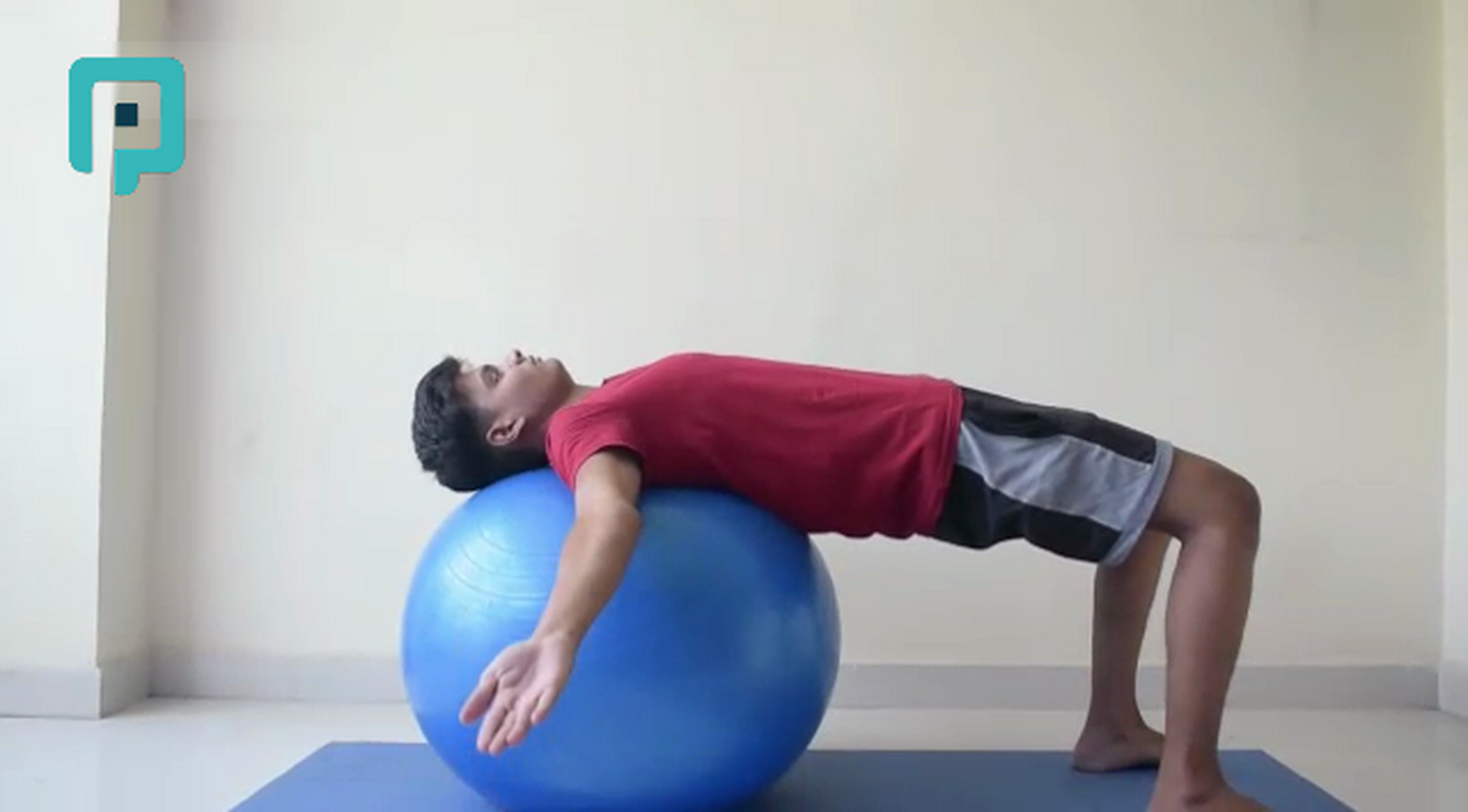 bridge on swiss ball with arm movements - beginner Trunk exercise