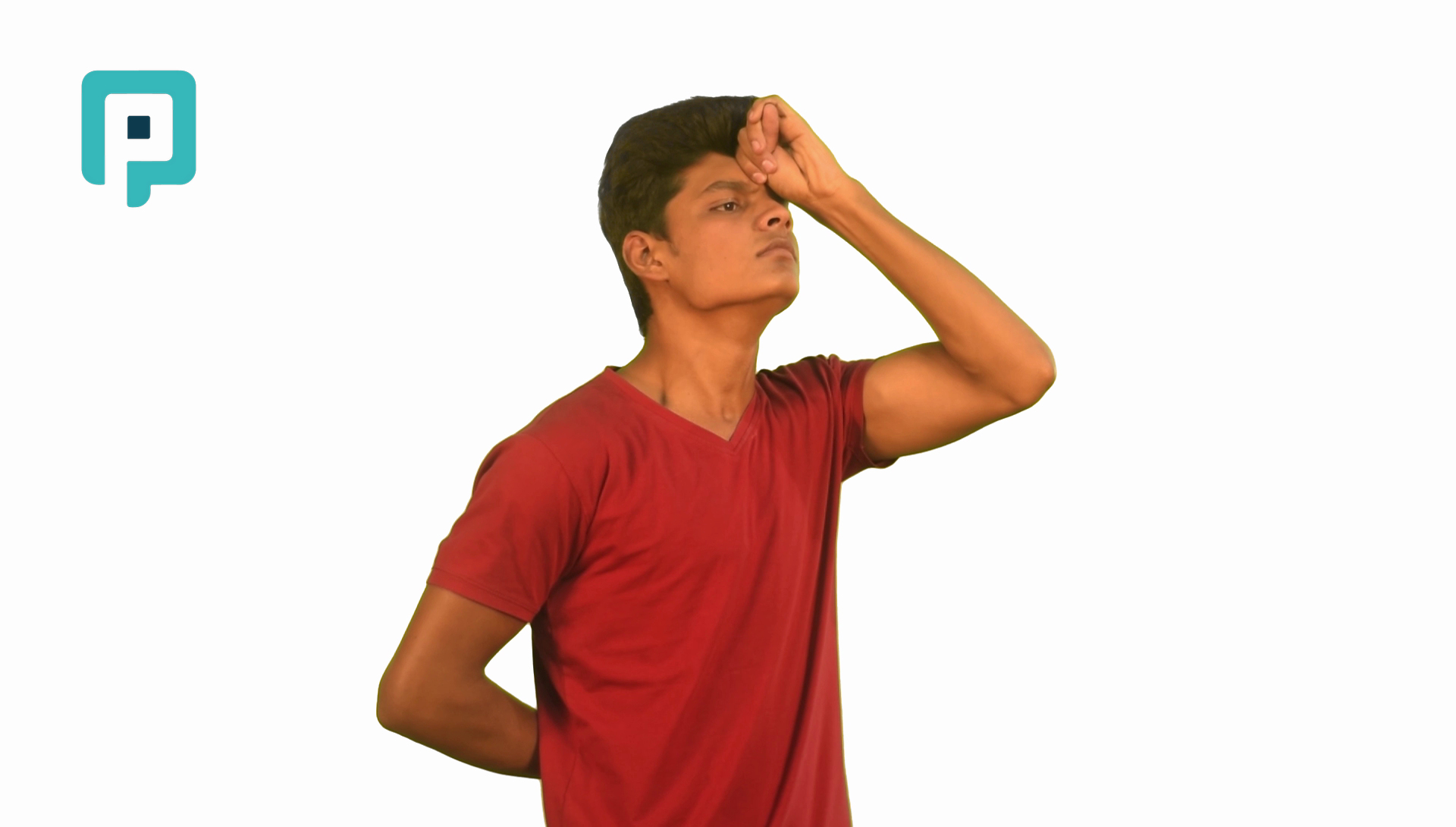 neck flexion isometric neutral position - beginner Neck exercise