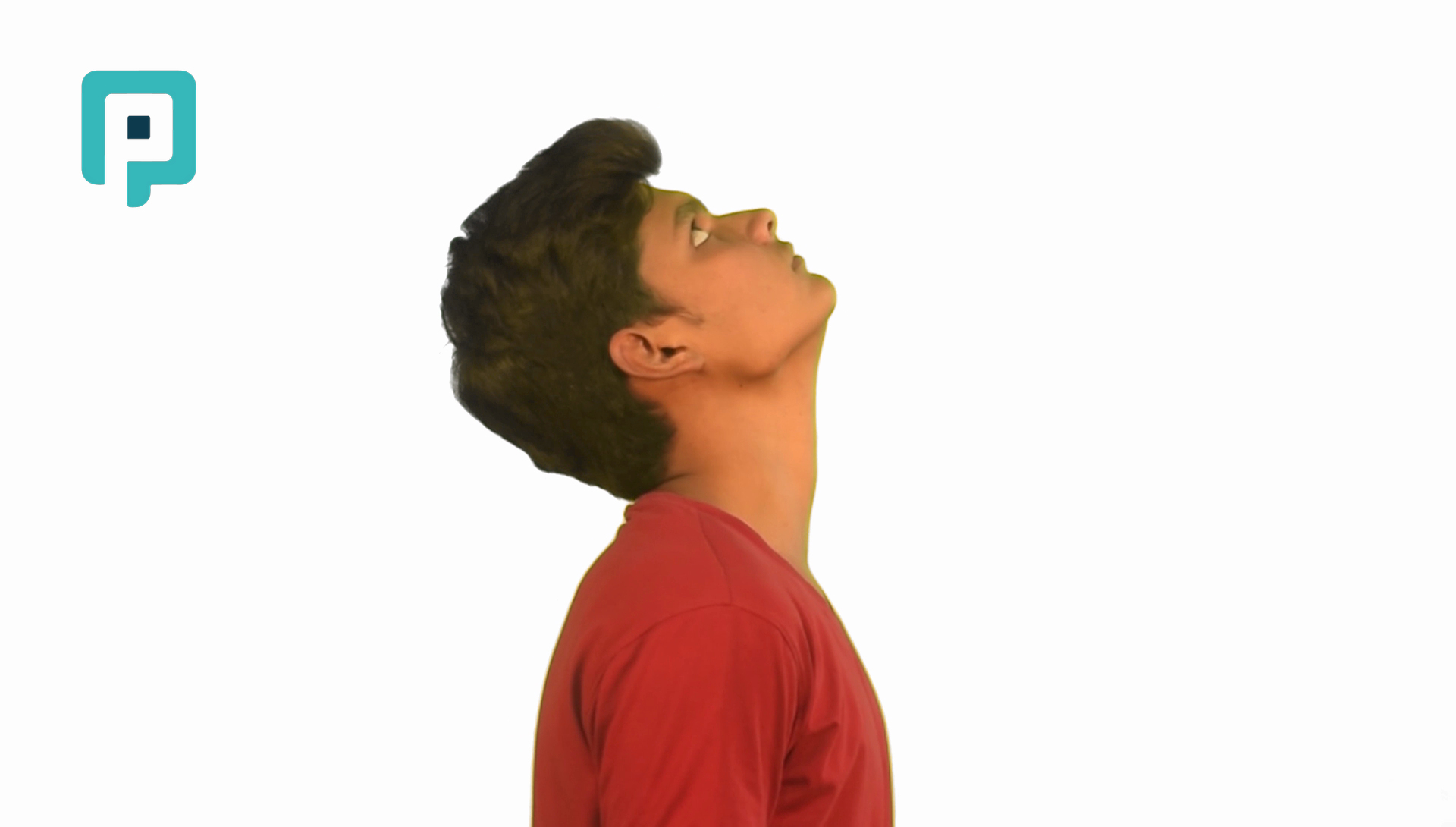 neck extension stretch