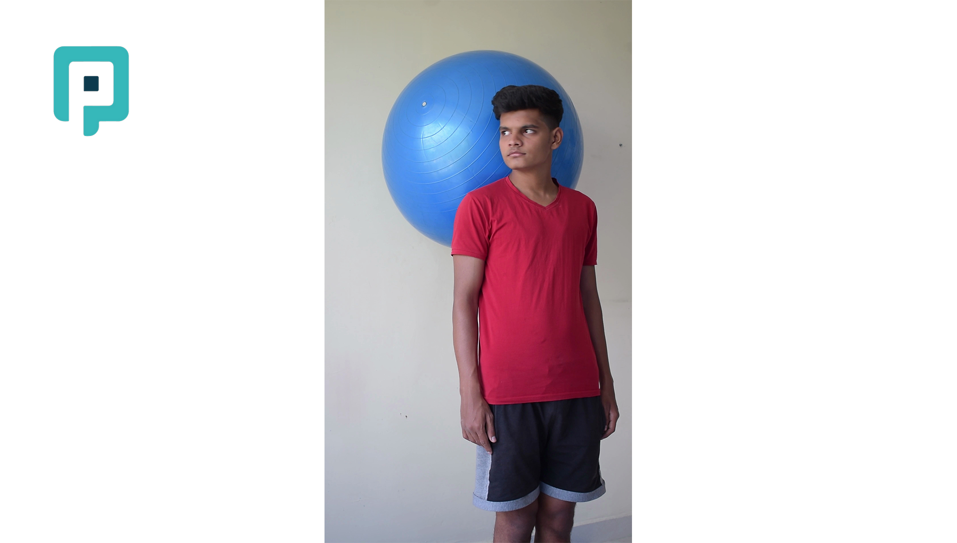 neck rotation with swiss ball against wall - beginner Neck exercise