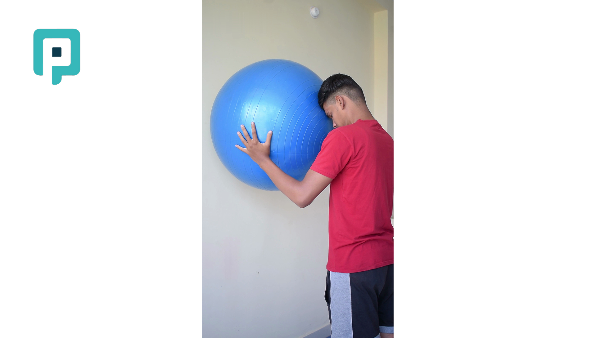 neck flexion isometric with swiss ball - beginner Neck exercise