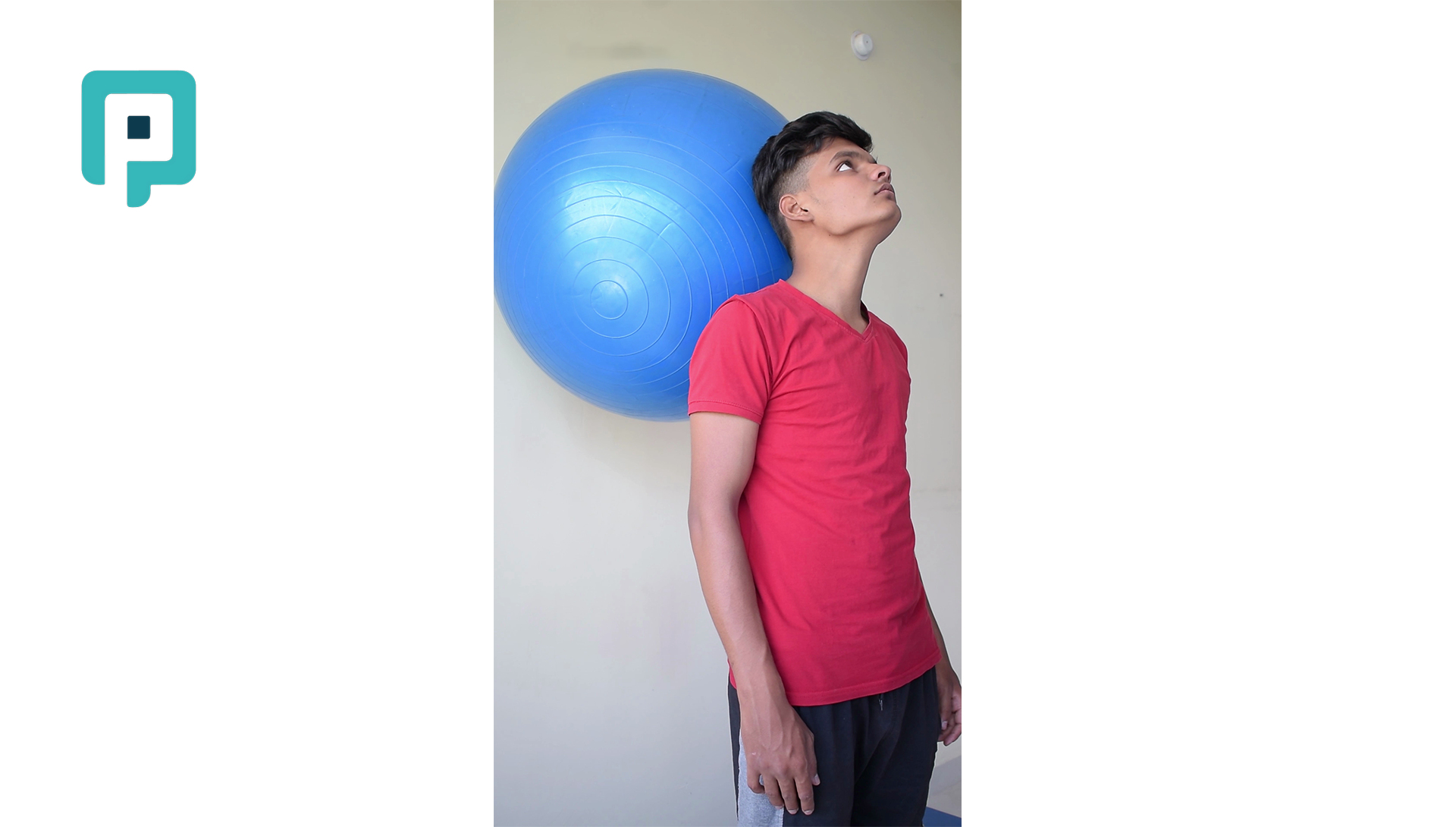neck extension against wall with swiss ball - beginner Neck exercise