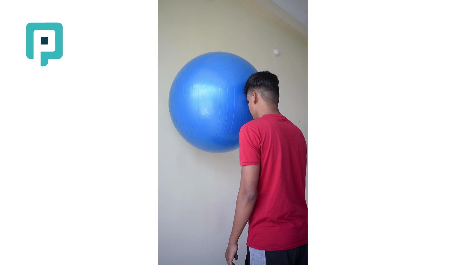 neck rotation with swiss ball wall press - beginner Neck exercise