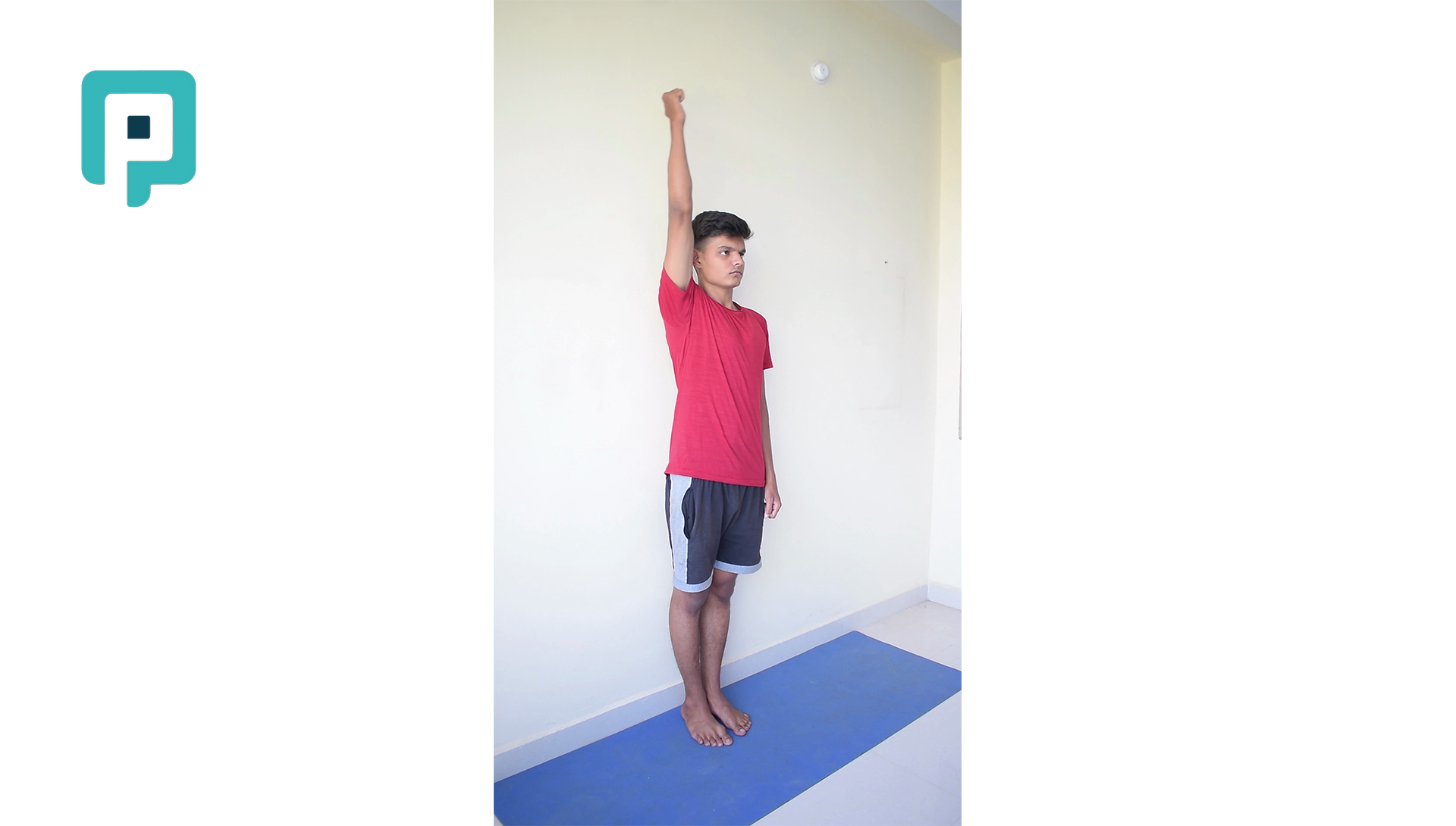 standing shoulder flexion against wall - beginner Upper Body exercise