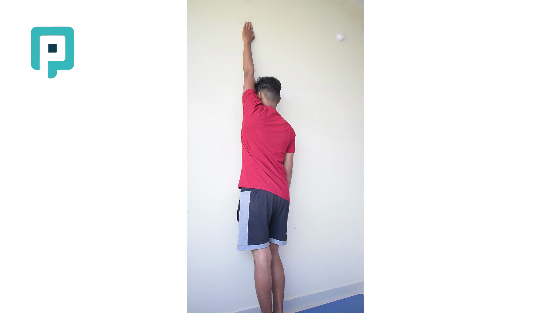 shoulder flexion wall ladder exercise - beginner Upper Body exercise