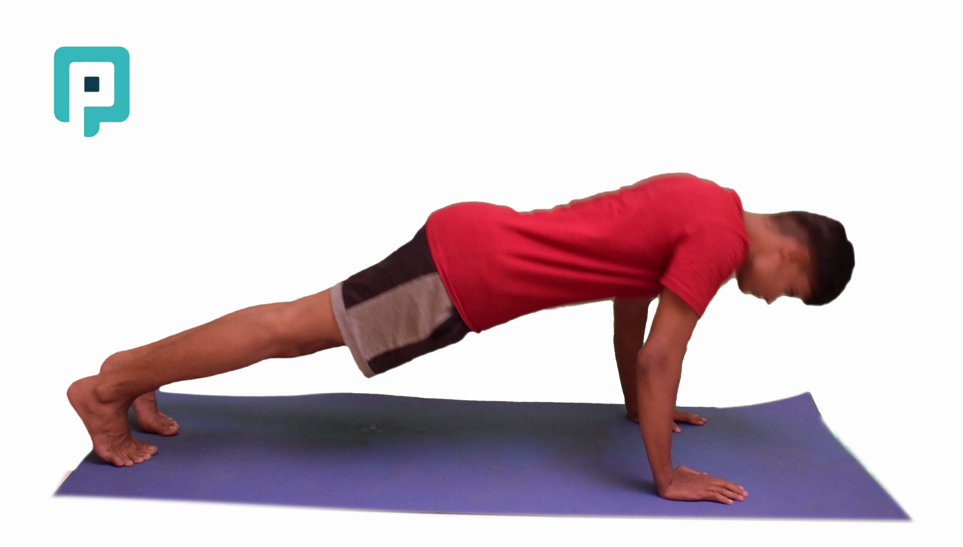 push up - beginner Upper Body exercise