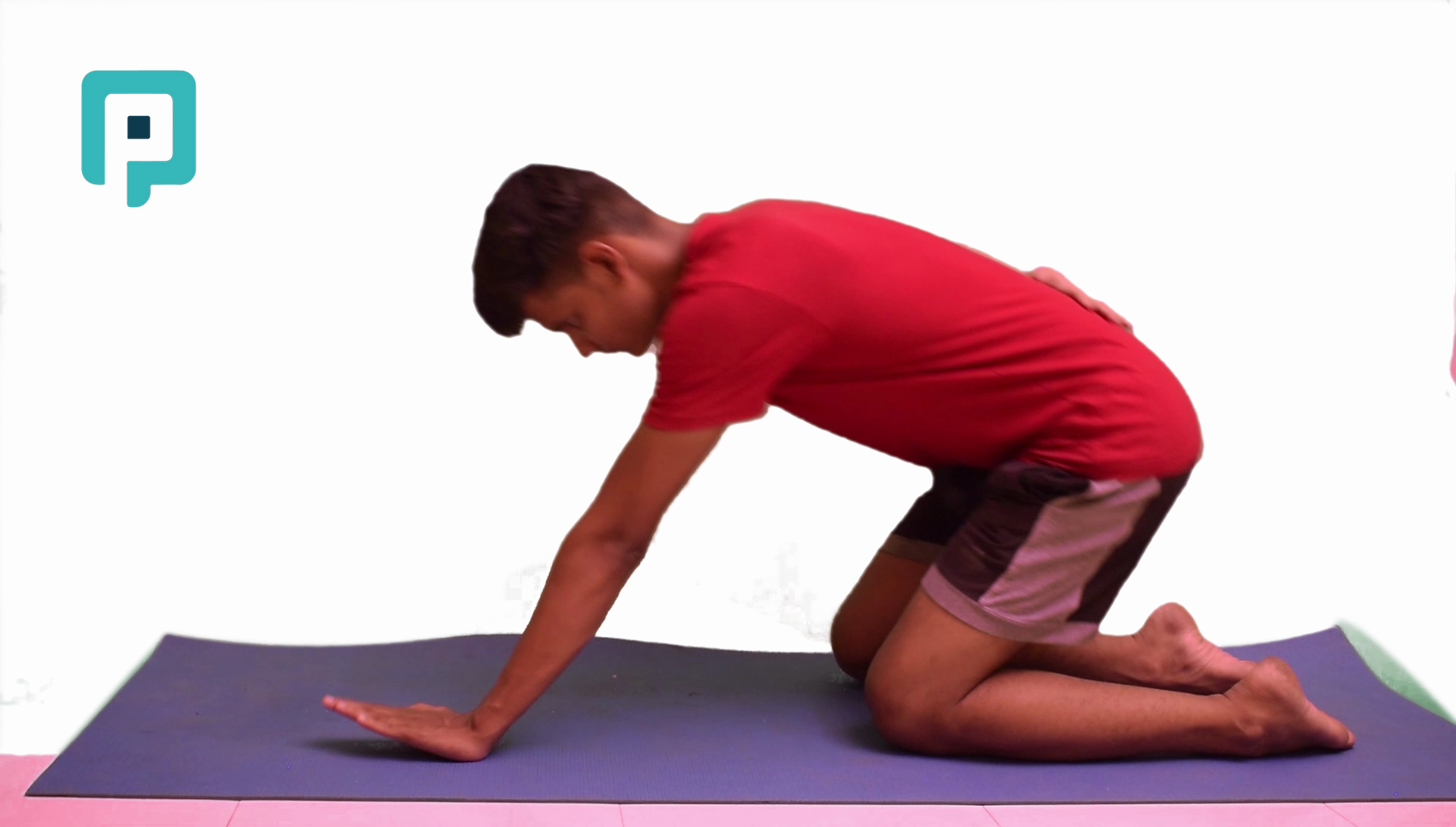 quadruped scapular push to child pose with one hand - beginner Upper Body exercise