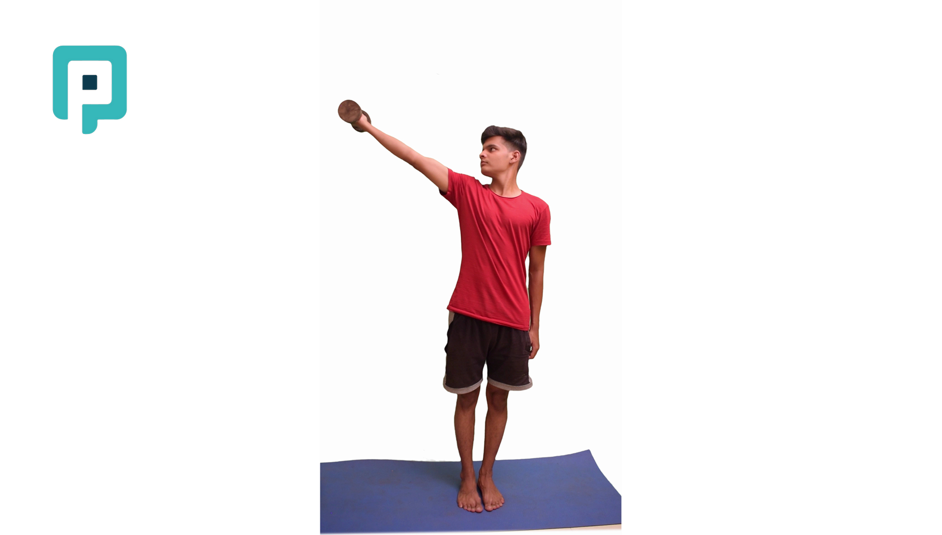 proprioceptive neuromuscular facilitation diagonal two flexion pattern with dumbbell - beginner Upper Body exercise
