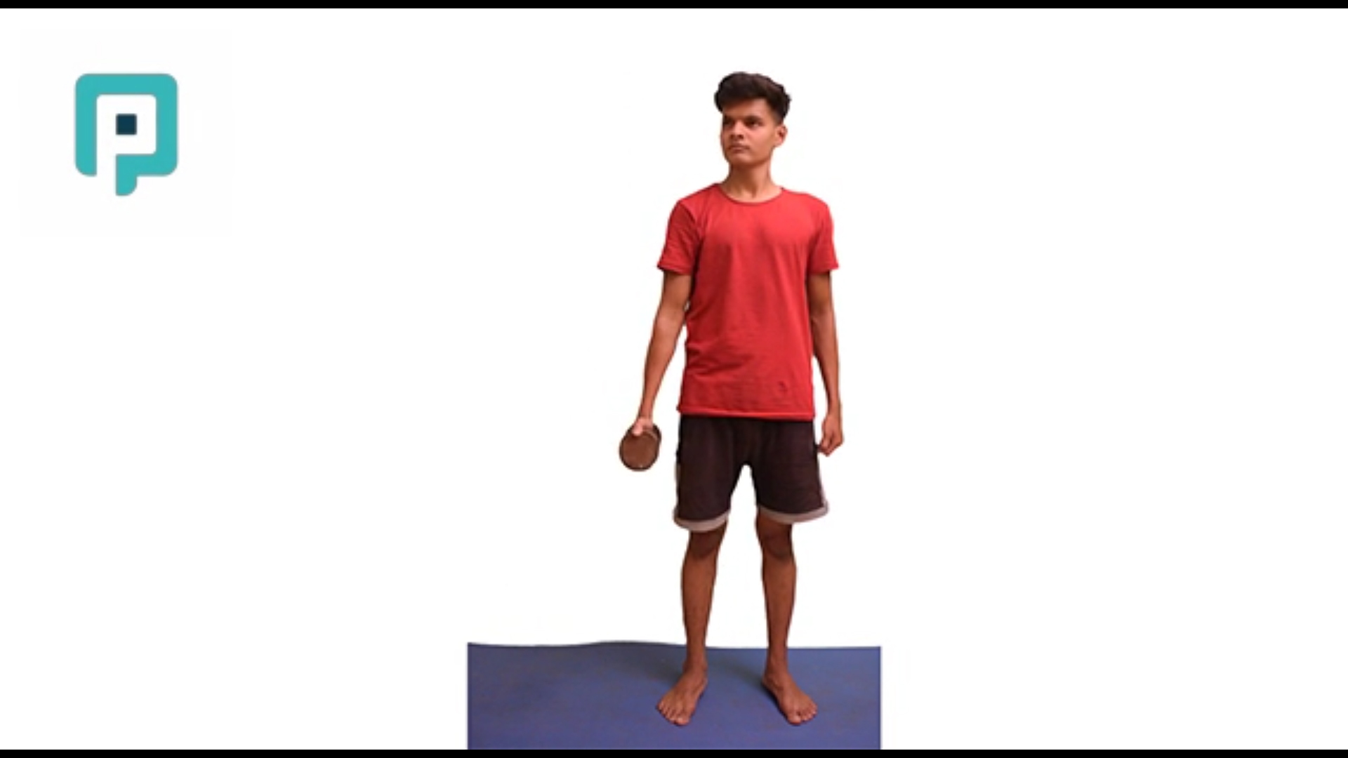 standing scapular plane elevation with dumbbell - beginner Upper Body exercise