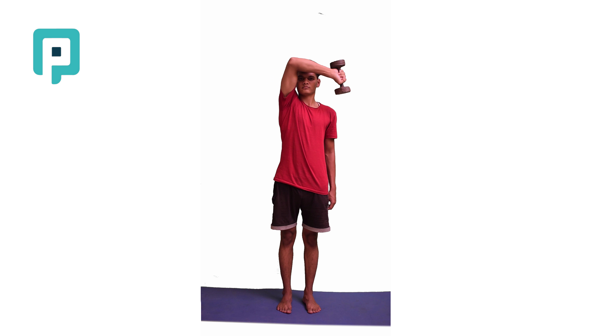 proprioceptive neuromuscular facilitation diagonal one flexion with dumbbell - beginner Upper Body exercise