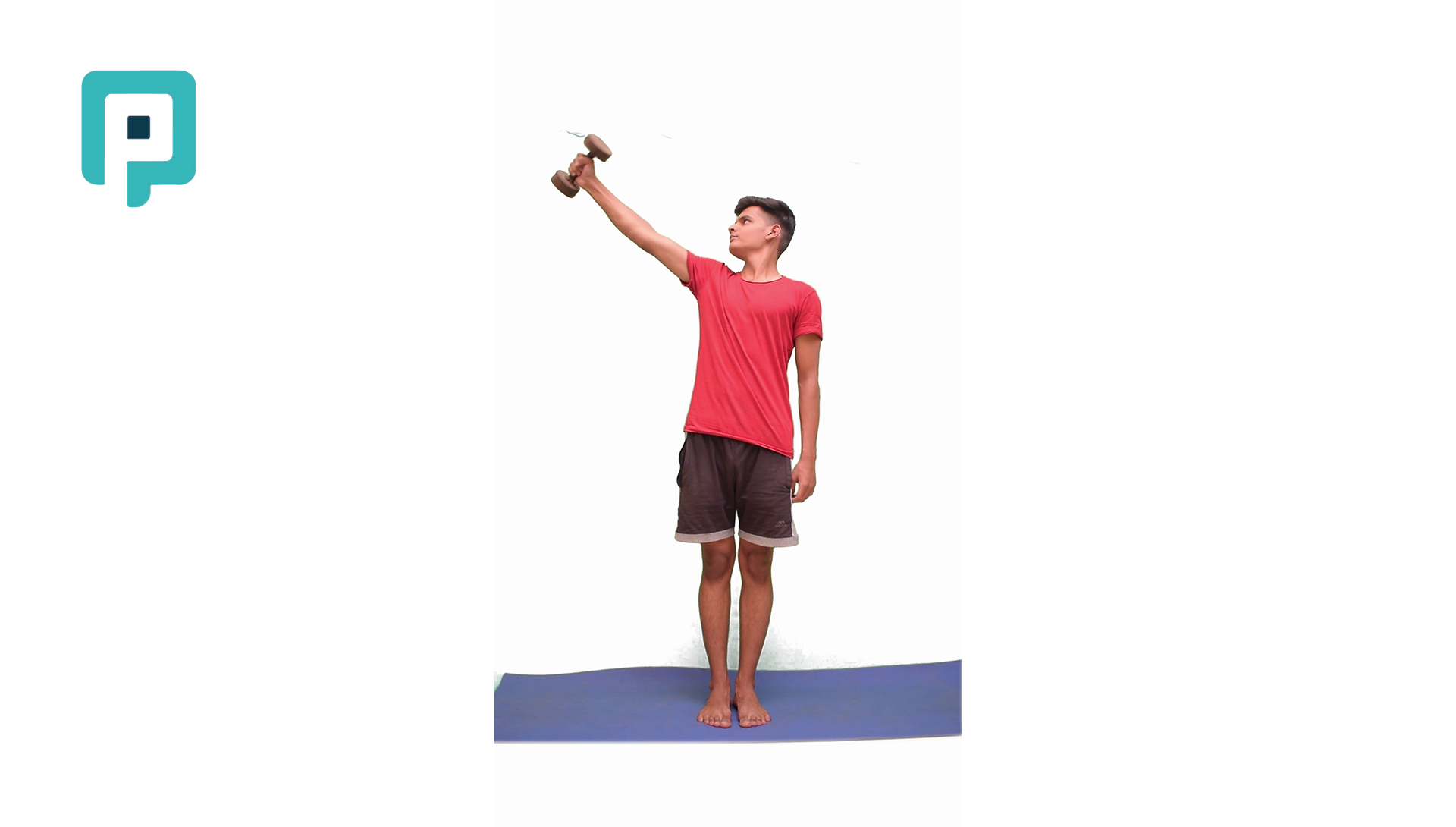 proprioceptive neuromuscular facilitation diagonal two flexion with resistance - beginner Upper Body exercise