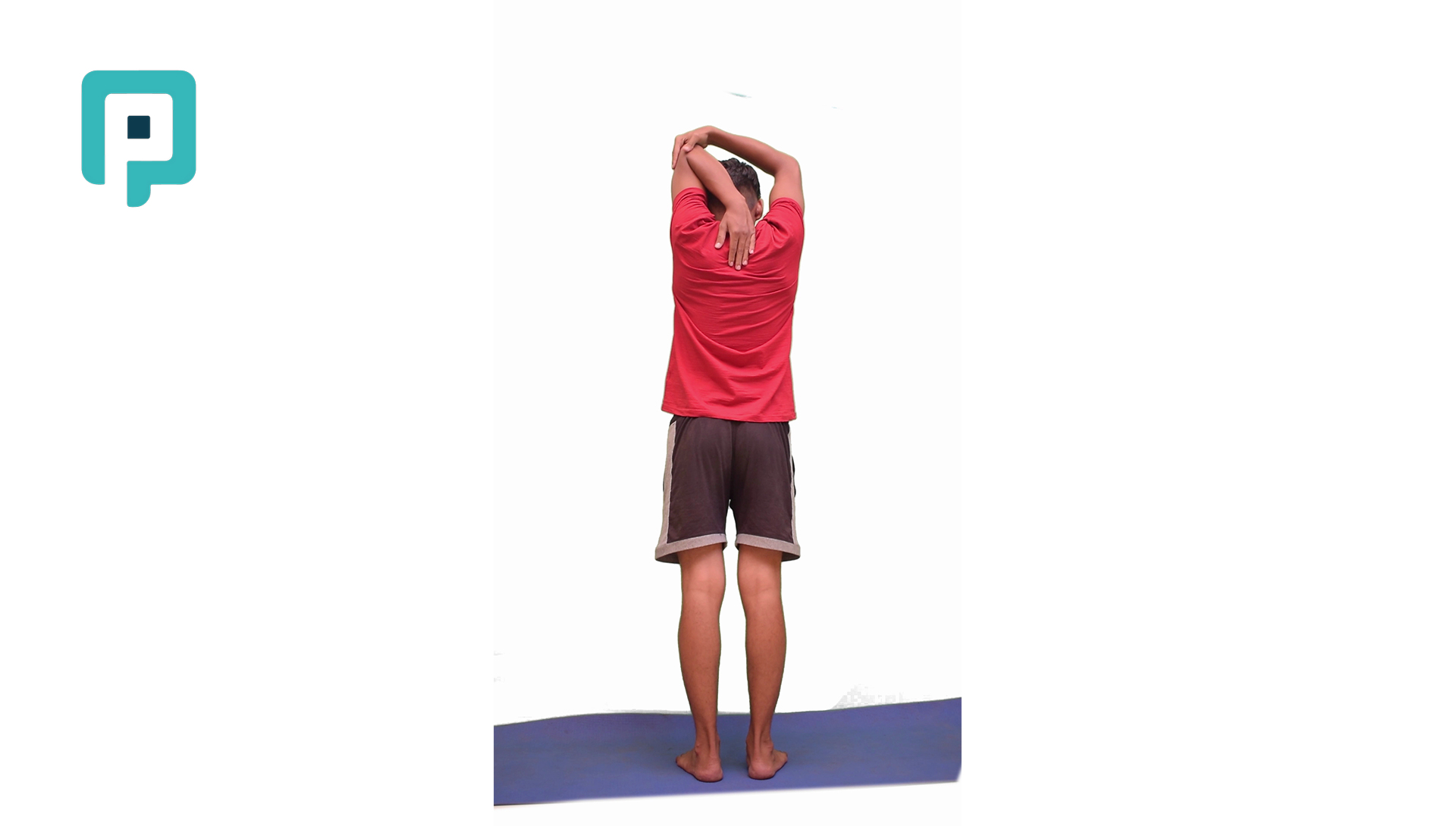 overhead triceps stretch with assisted pull - beginner Upper Body exercise