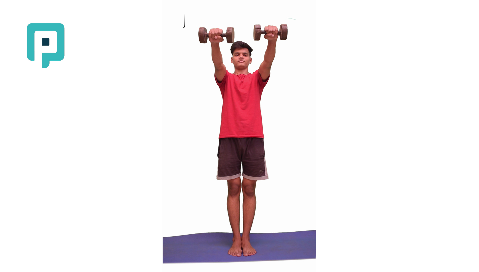 shoulder flexion to ninety degrees with dumbbell - beginner Upper Body exercise
