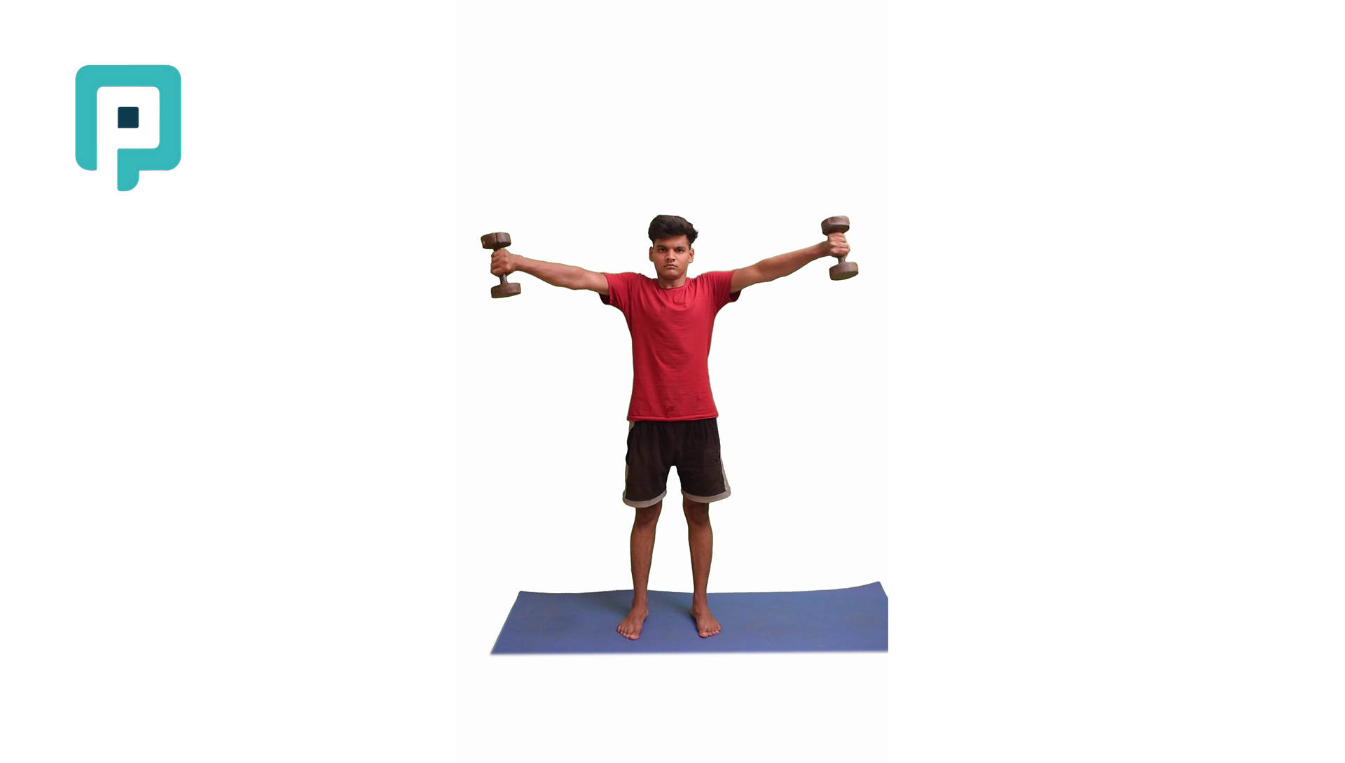 bilateral shoulder scaption to 90 degrees with dumbbell - beginner Upper Body exercise