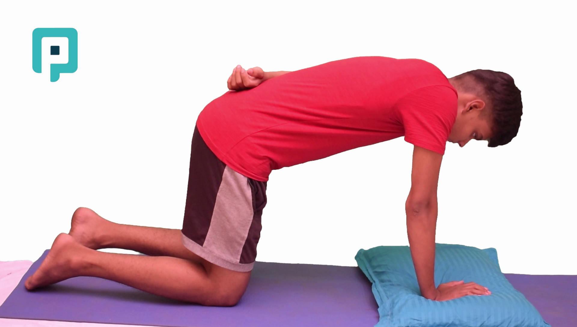quadruped single arm scapular protraction on pillow - beginner Upper Body exercise