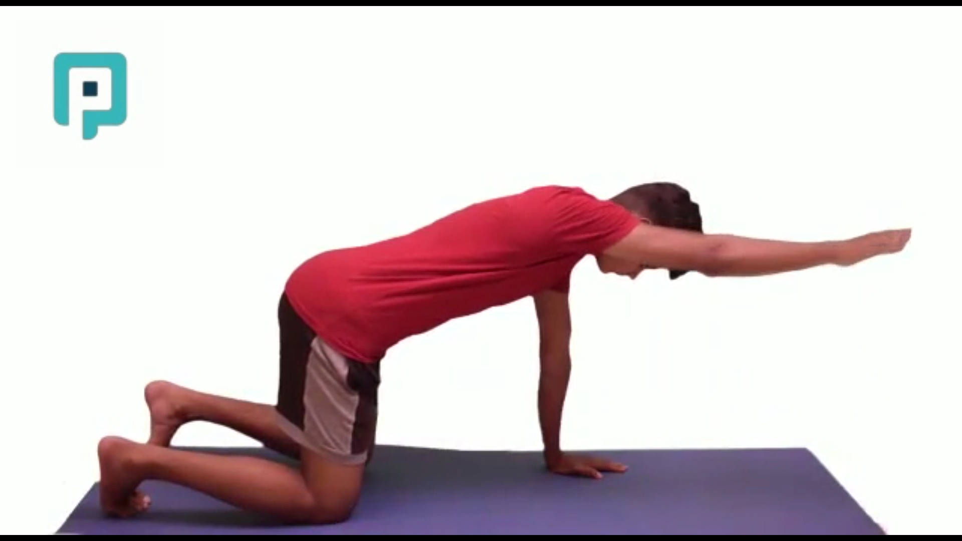 quadruped single arm reach forward - beginner Trunk exercise