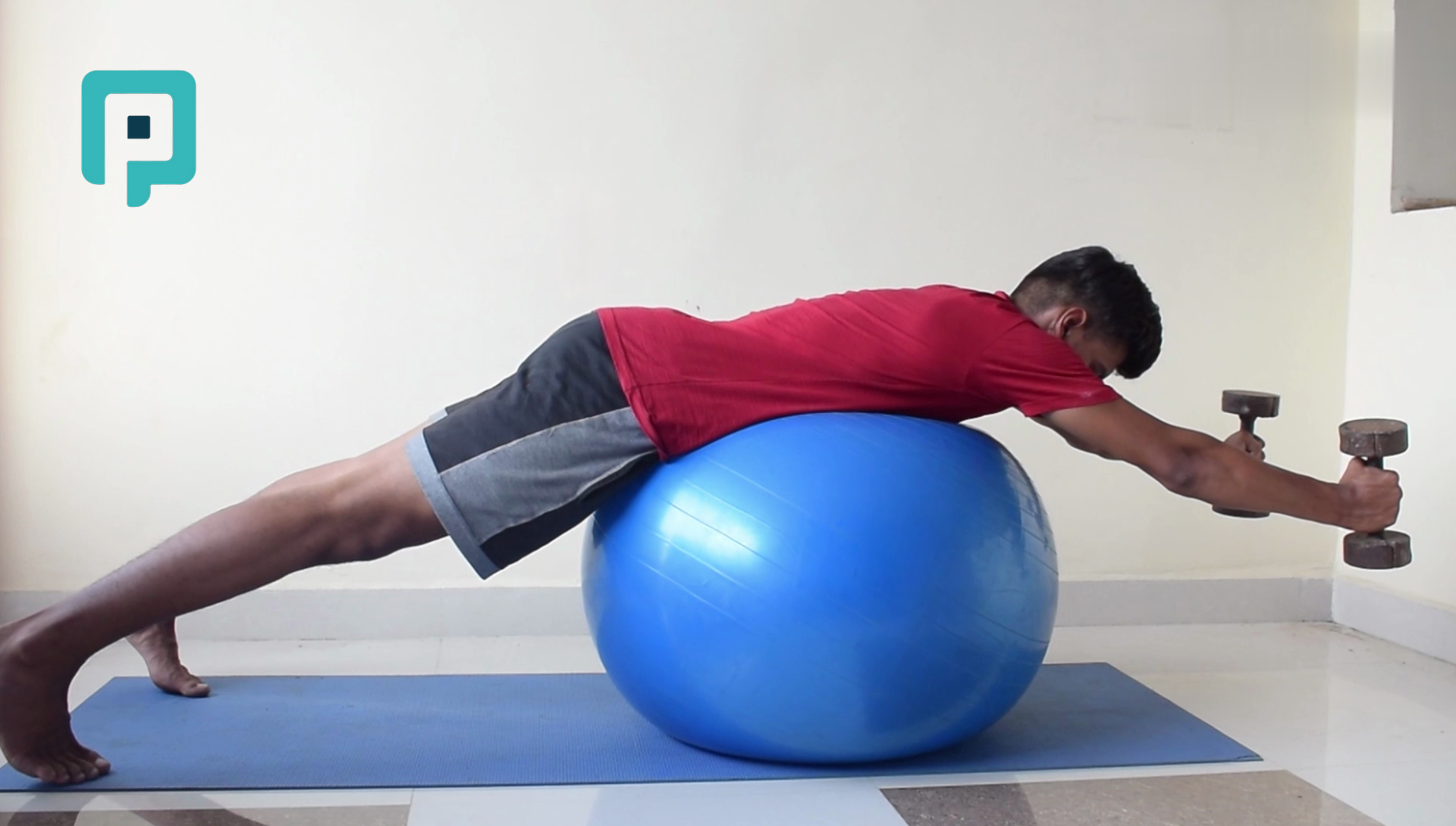 prone i raise on swiss ball with dumbbell - beginner Trunk exercise