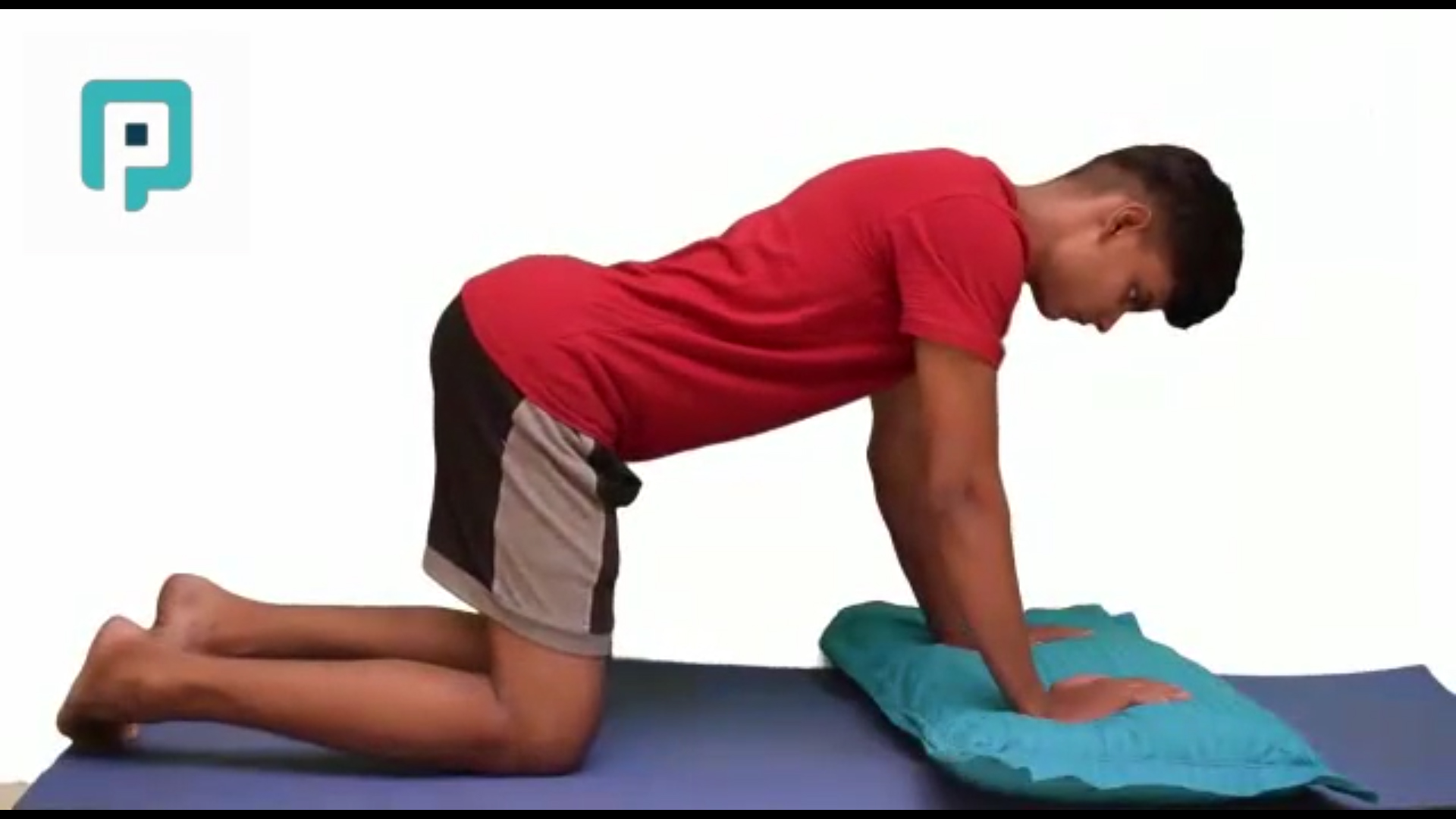 quadruped scapular push on pillow - beginner Trunk exercise