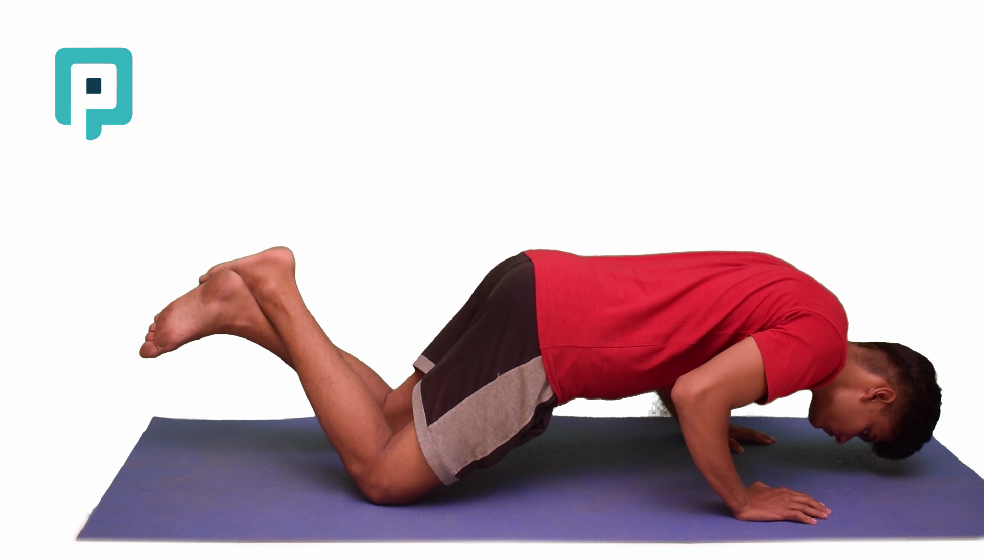 push up on knees - beginner Trunk exercise