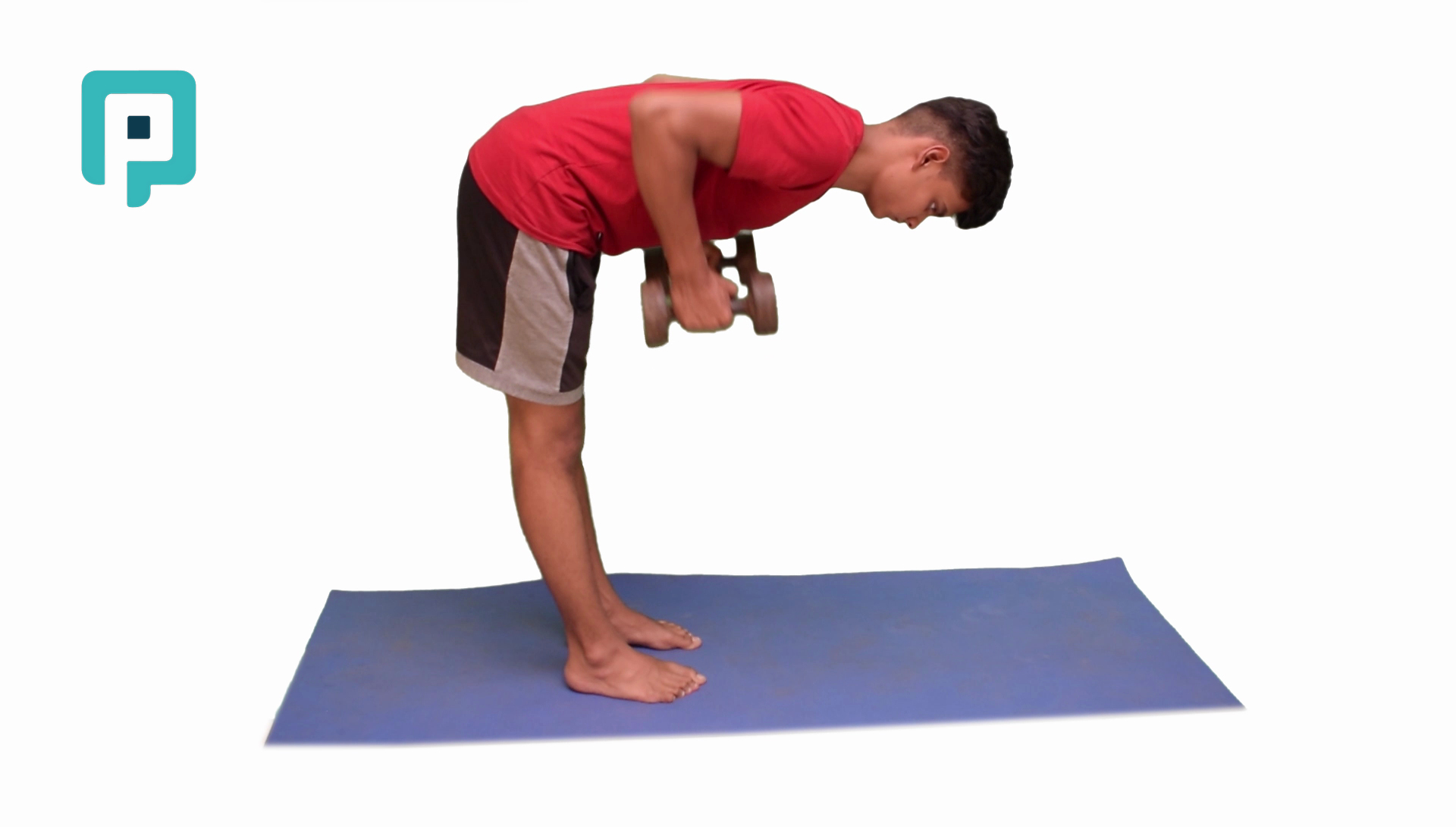 bent over dumbbell row - beginner Trunk exercise