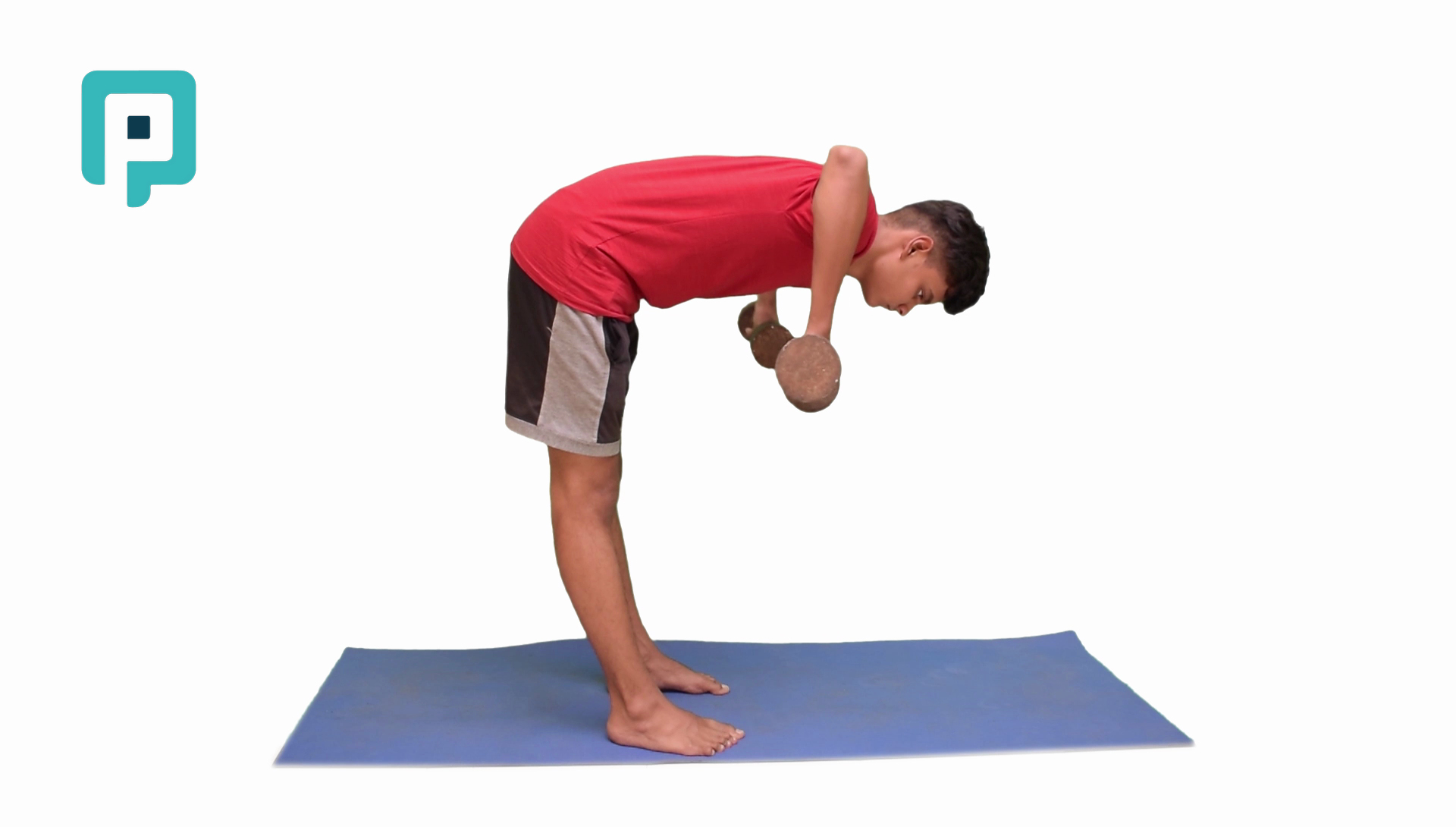 bent over dumbbell row at ninety degrees - beginner Trunk exercise