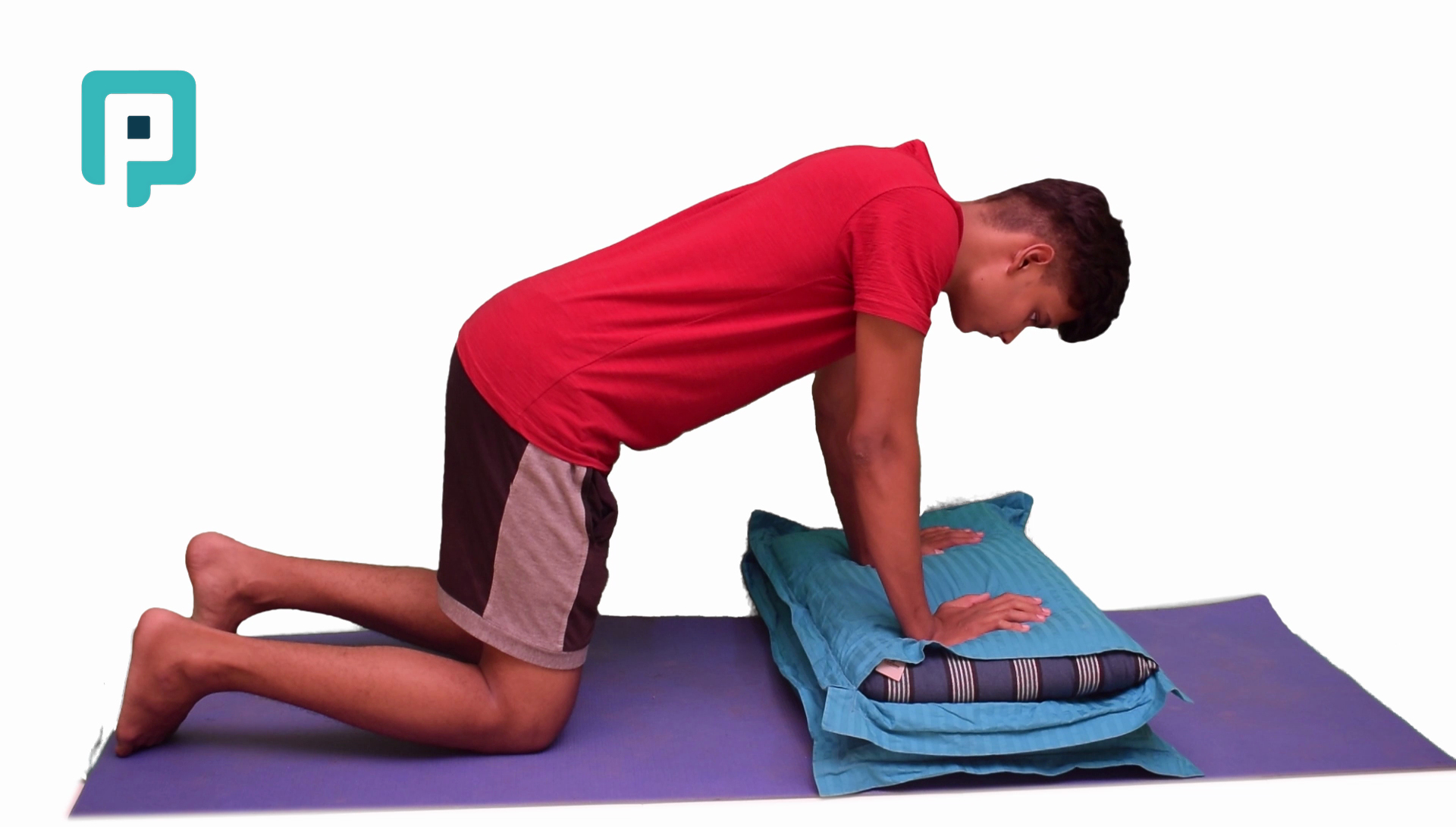 quadruped scapular push on unstable surface - beginner Trunk exercise