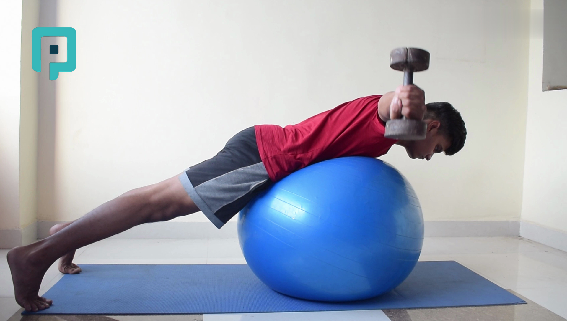 prone t raise on swiss ball with dumbbell - beginner Trunk exercise