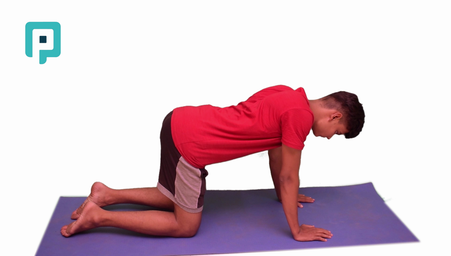q ped floor push - beginner Trunk exercise