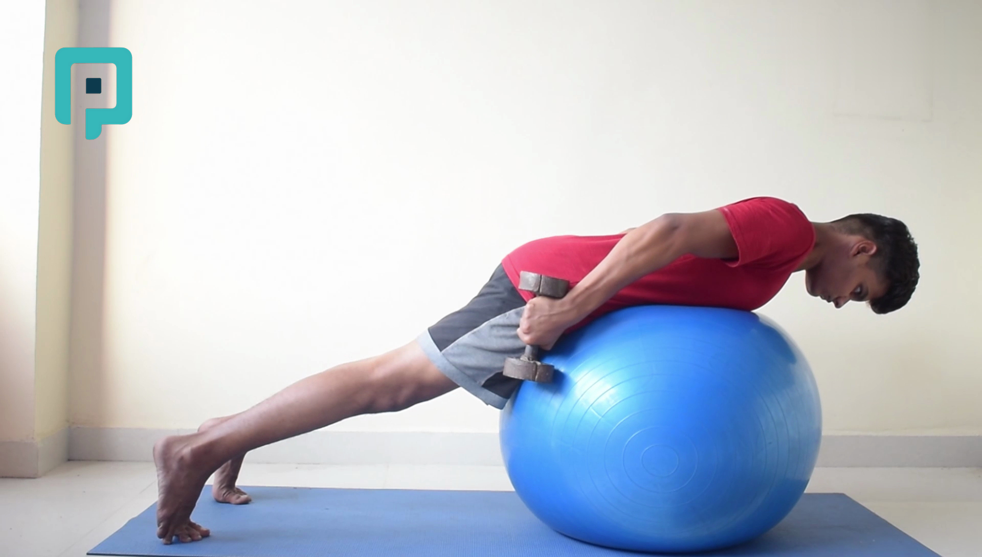 prone i raise with dumbbell on swiss ball - beginner Trunk exercise