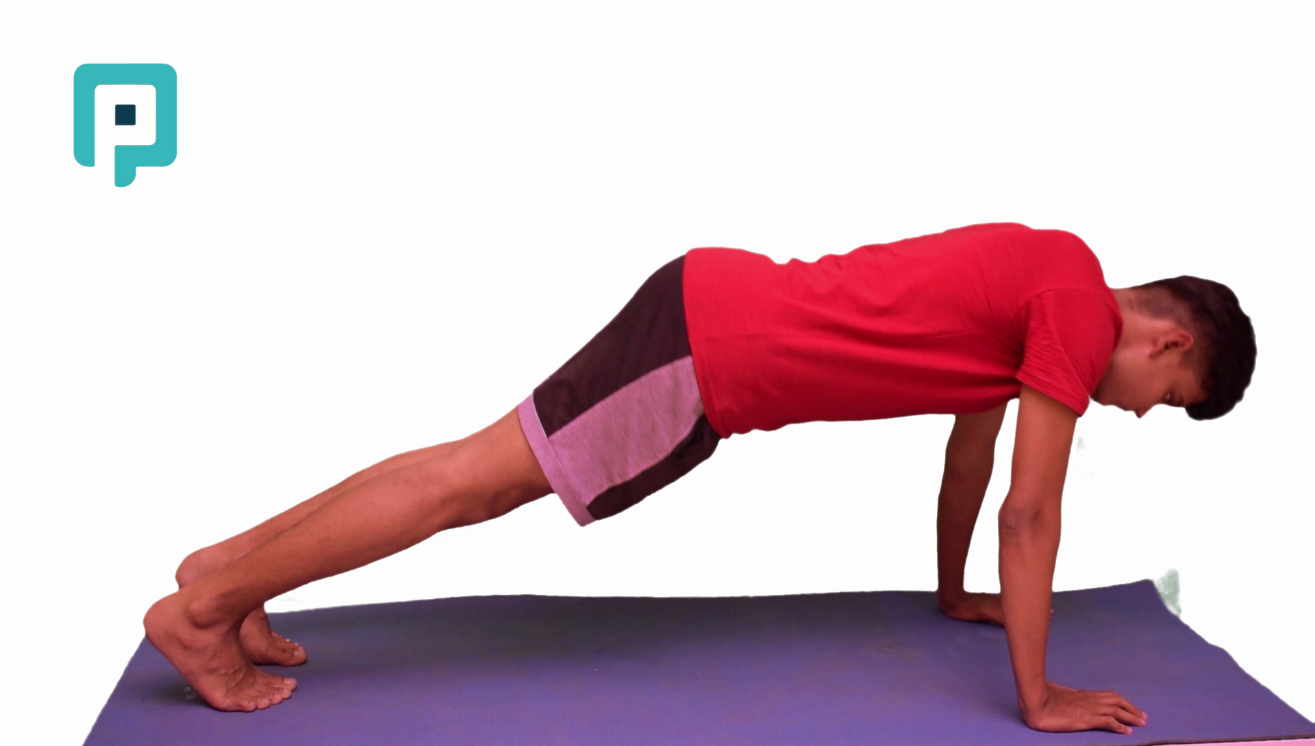 push up plus - beginner Trunk exercise