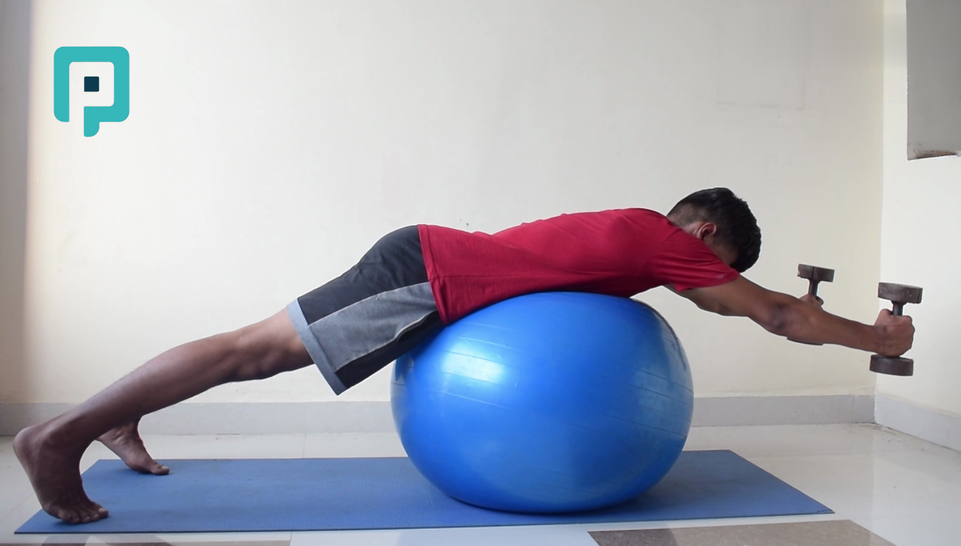 prone y raise on swiss ball with dumbbell - beginner Trunk exercise