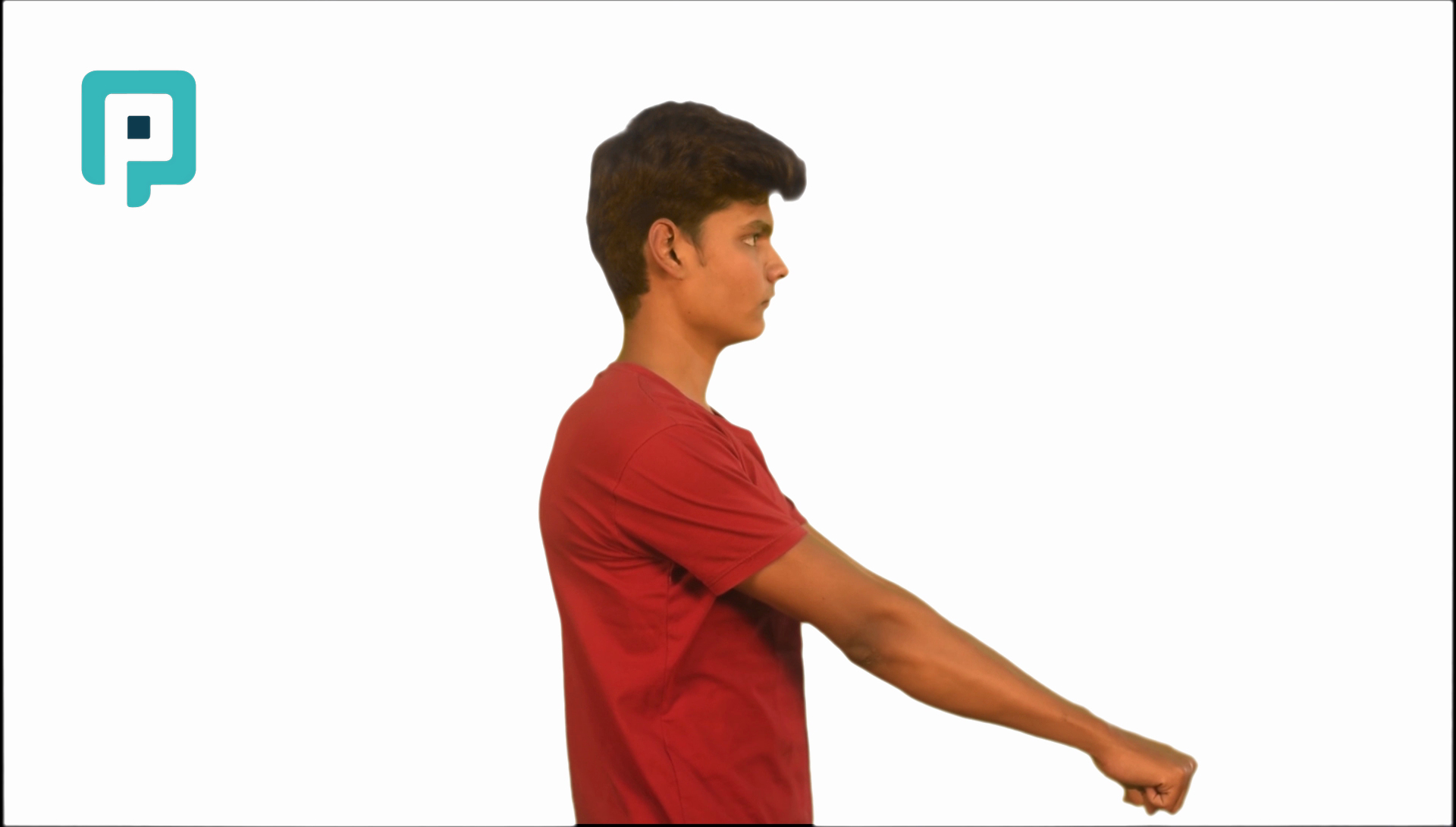 standing row isometric at 45 - beginner Trunk exercise