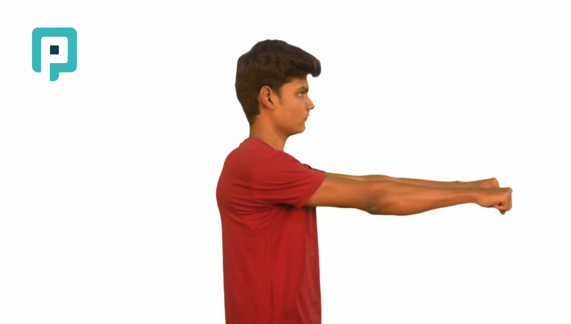 row isometric at 90 - beginner Upper Body exercise