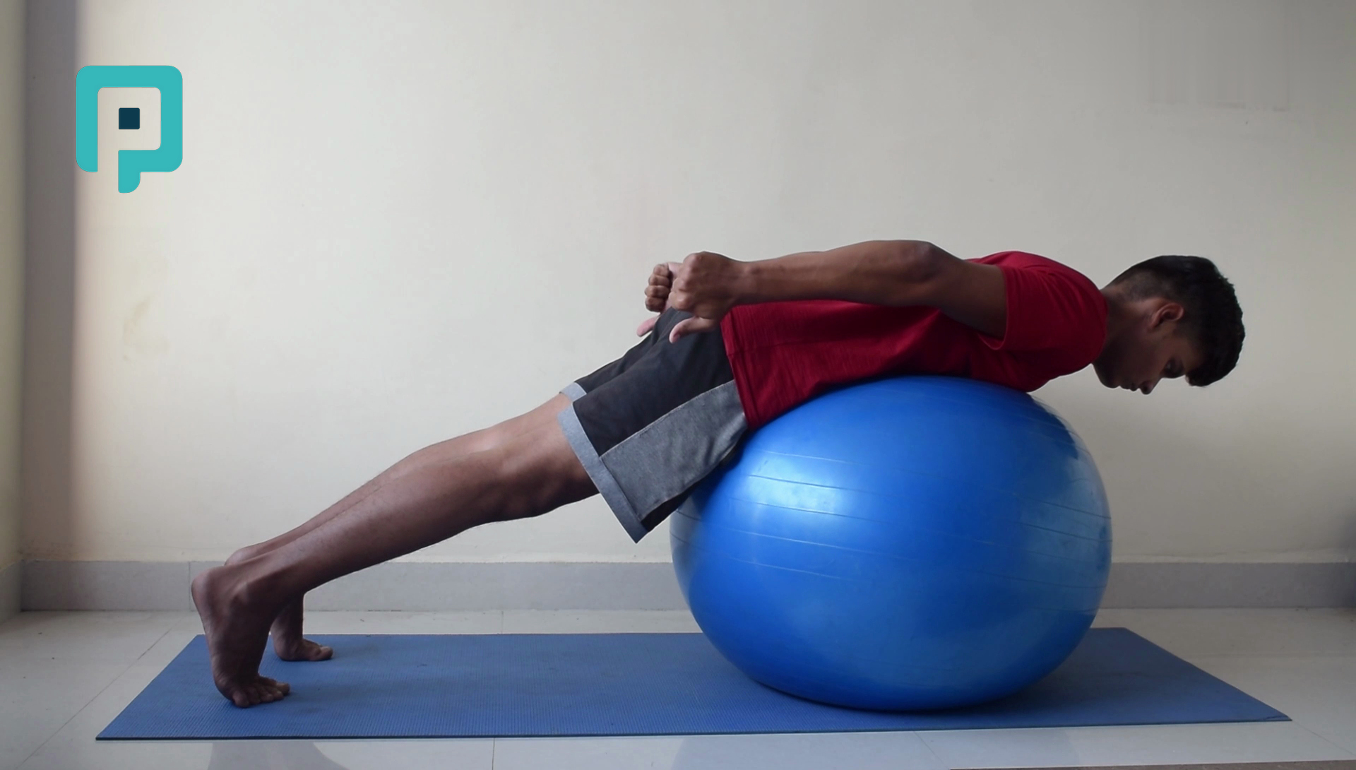prone i raise on swiss ball - beginner Trunk exercise