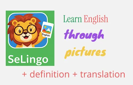Online English Picture Dictionary - selingo.app