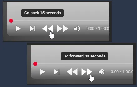 YouTube Rewind & Fast Forward Buttons