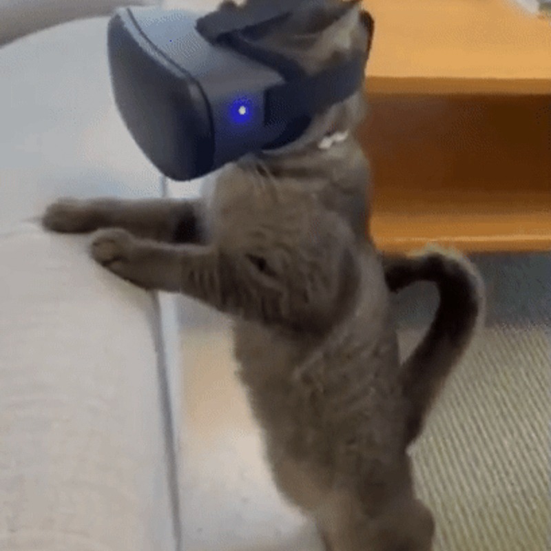 Pegcat