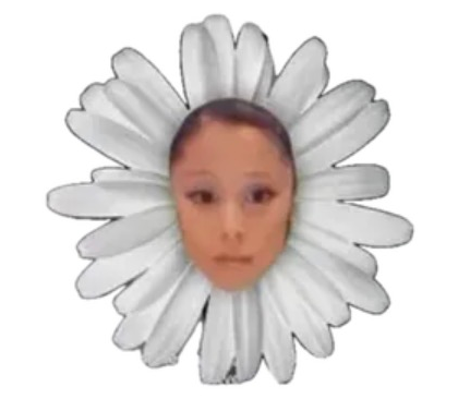 Petal logo