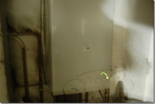 ghost