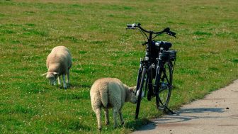 ‘On yer bike!’ Head Shepherd rides out for charity
