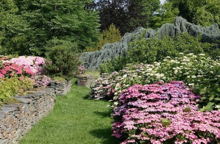 Parc de la Vallée aux Loups 