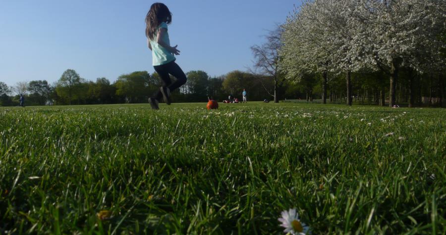 Parc des Chanteraines / © Steve Stilmann