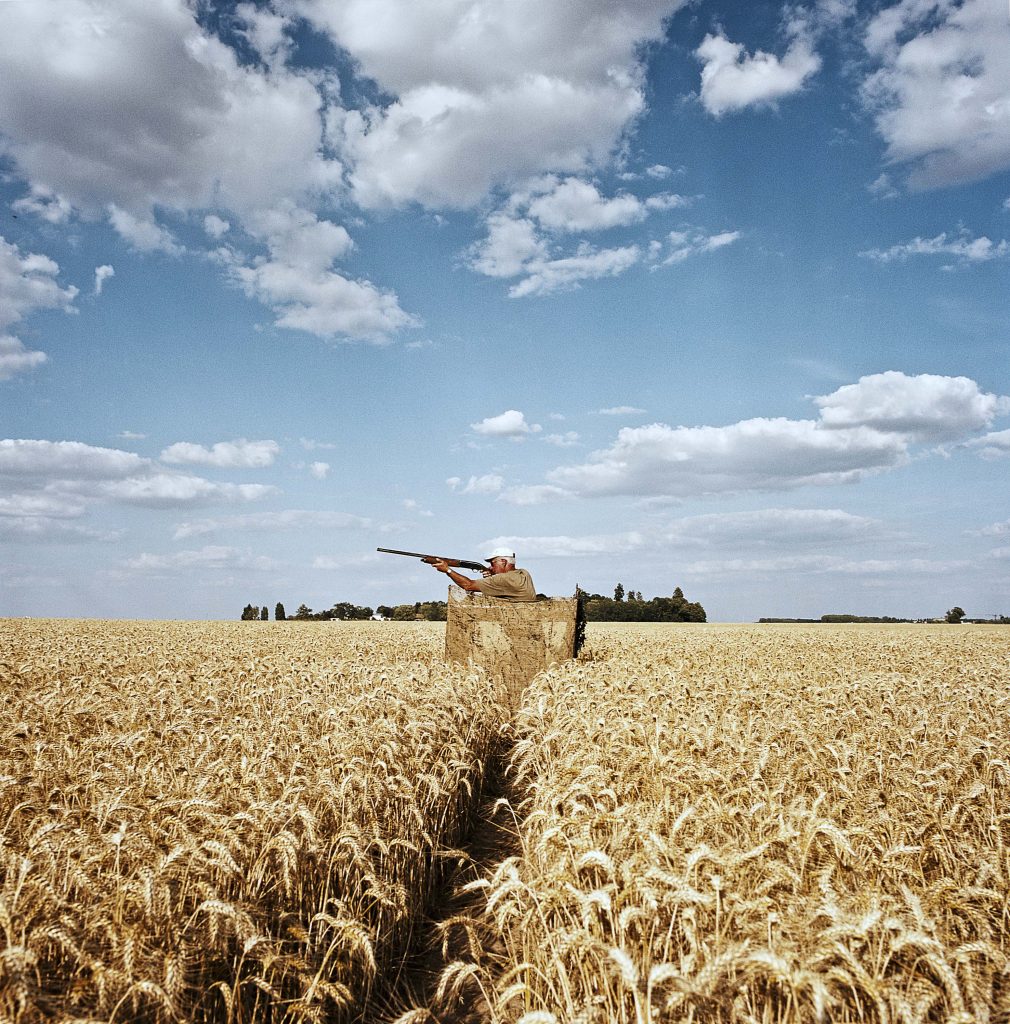 Un chasseur sur le plateau de Saclay en Essonne /  © Valerio Vincenzo