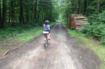 Explorez la forêt de Rambouillet à vélo